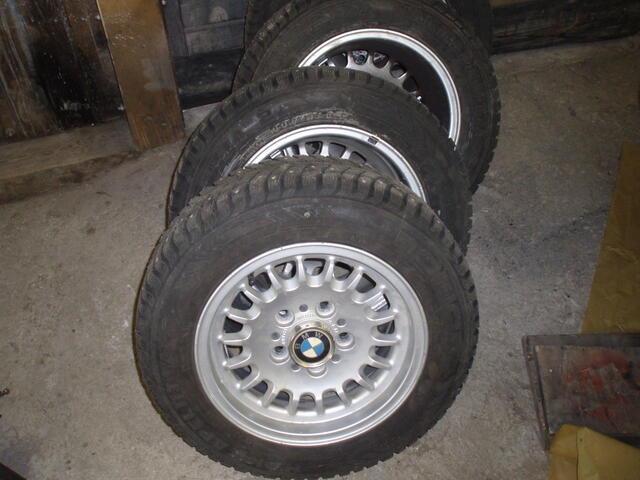 PB080274.JPG