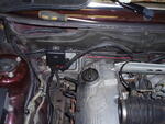 PB110286.JPG