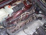 PB110287.JPG