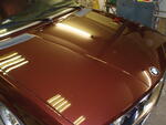 PB110296.JPG
