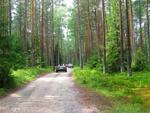 IMG_0801.jpg