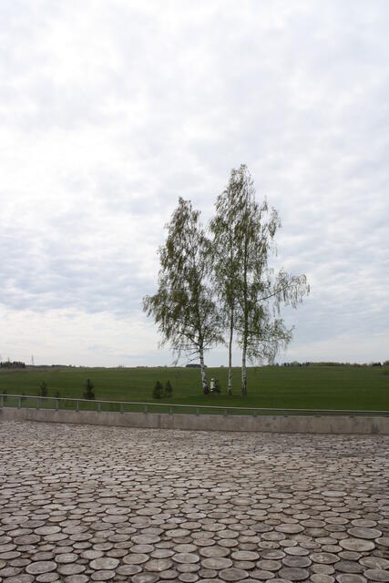 IMG_7945.JPG