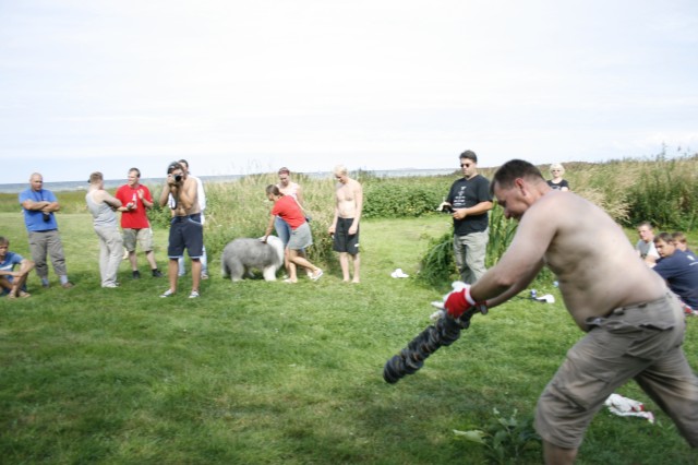 _MG_3490.JPG