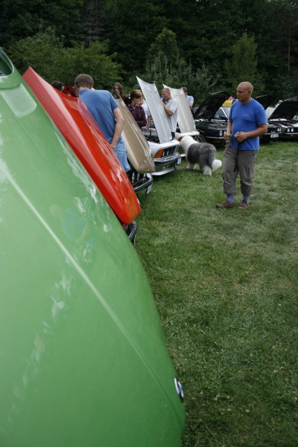 _MG_3515.JPG