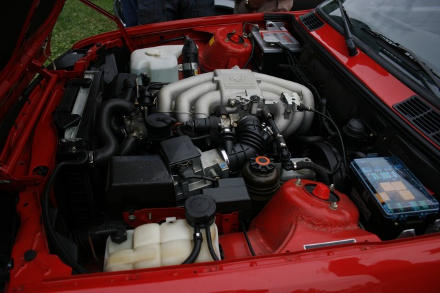 _MG_3521.JPG