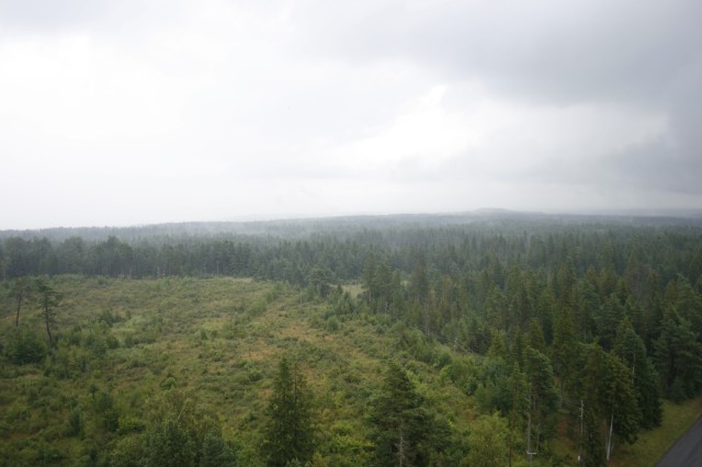 _MG_3551.JPG