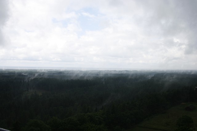 _MG_3553.JPG