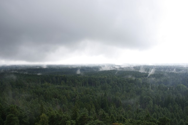 _MG_3555.JPG