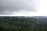 _MG_3555.JPG