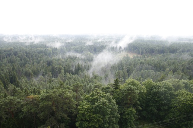 _MG_3560.JPG