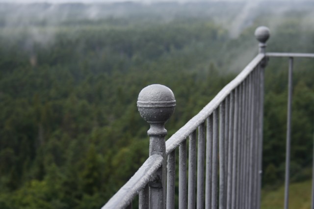 _MG_3566.JPG