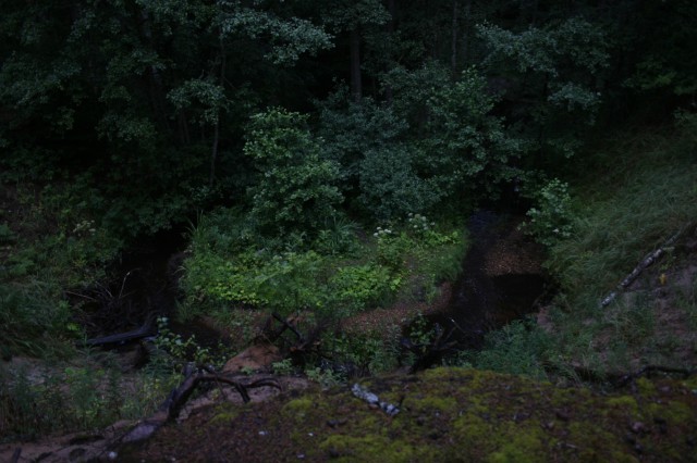 _MG_3589.JPG