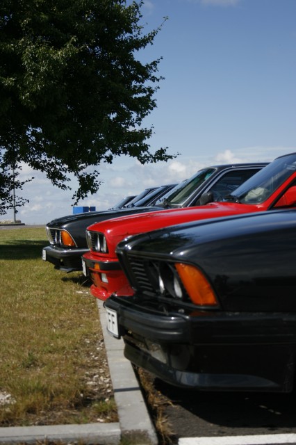 _MG_3623.JPG