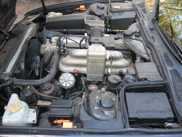 434 007.jpg