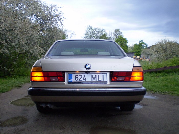 735-11.jpg