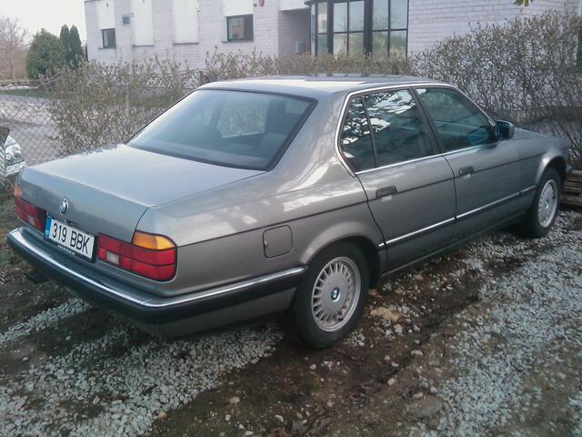 IMAG0009.jpg