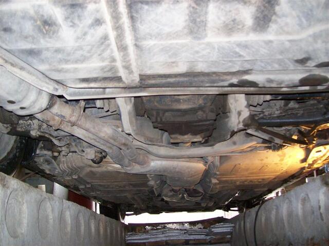 100 0829 (Large)