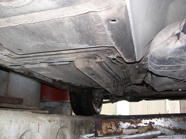 100 0830 (Large)