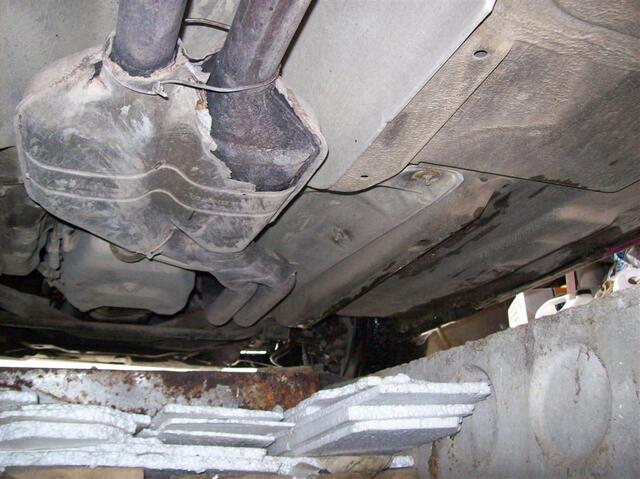100 0831 (Large)