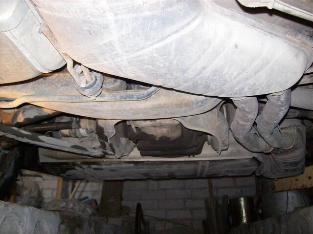 100 0832 (Large)
