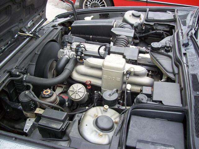 100 0837 (Large)