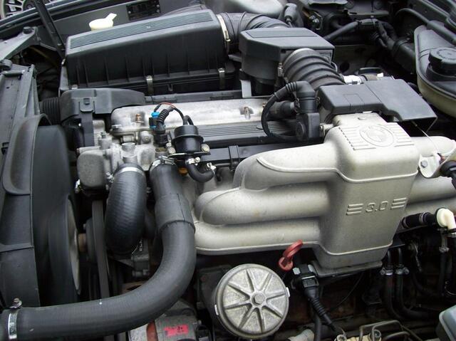 100 0838 (Large)