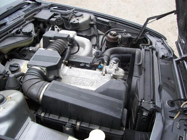 100 0839 (Large)