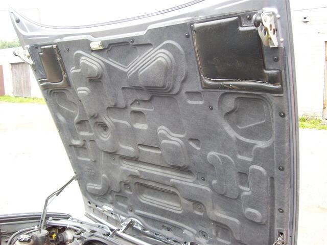 100 0842 (Large)