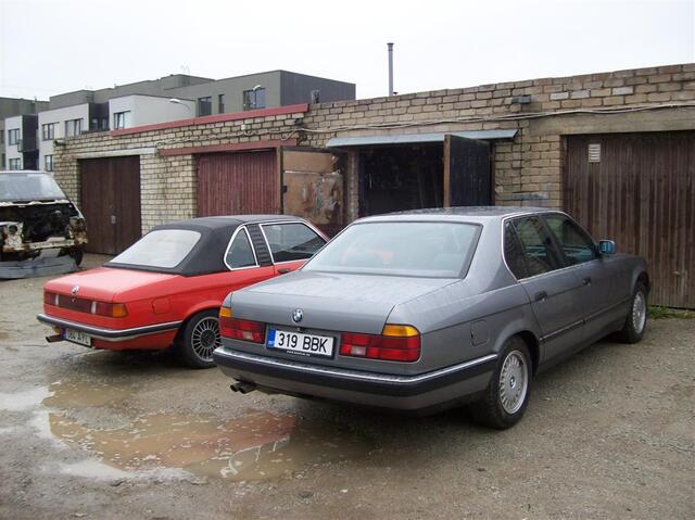 100 0849 (Large)