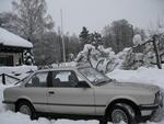 IMG_2398.jpg