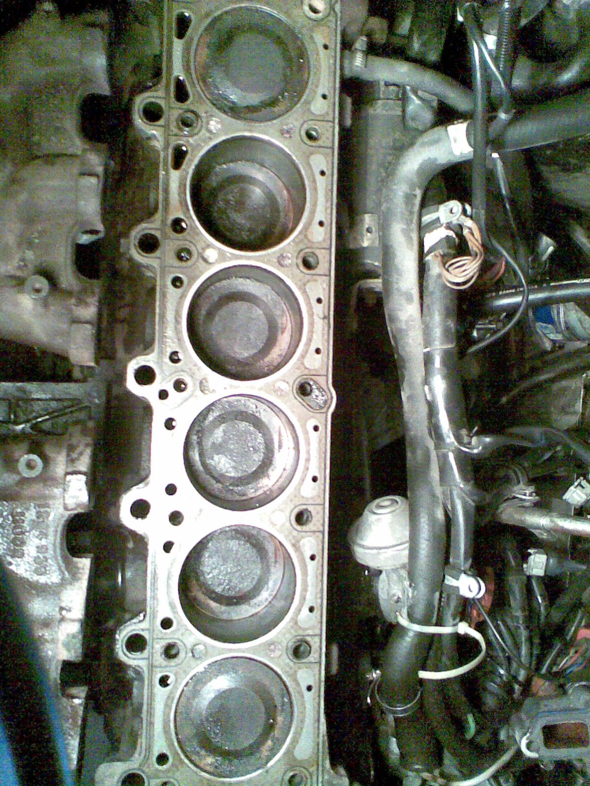 Pilt047.jpg