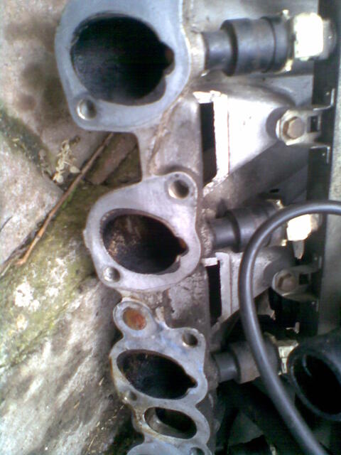 Pilt041.jpg