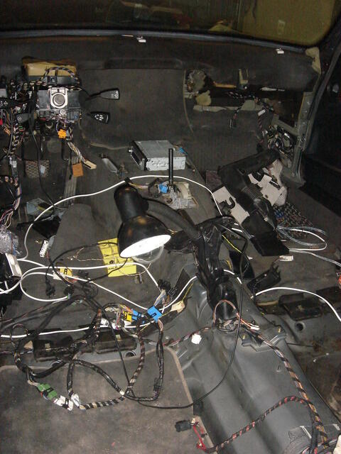 DSC00488.JPG