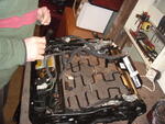 DSC00435.JPG