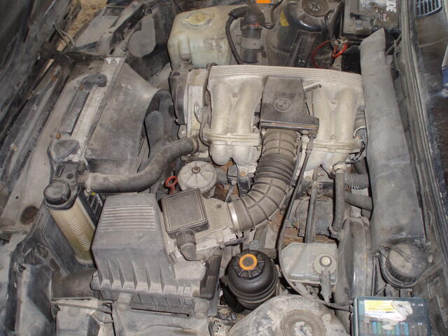 P4200001.JPG