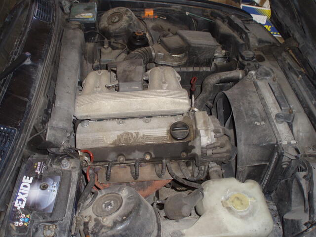 P4200002.JPG