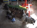 P4200003.JPG