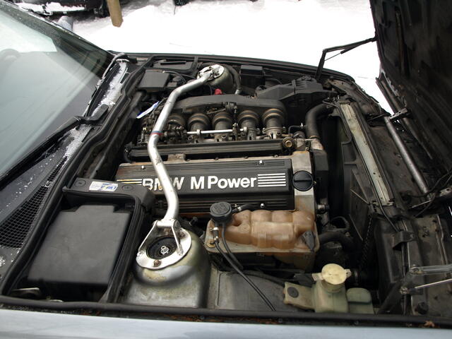 Picture 010.jpg