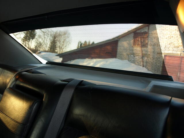 Picture 017.jpg
