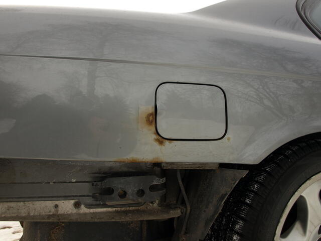 Picture 003.jpg