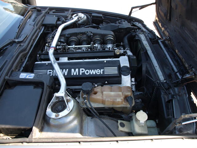 Picture 005.jpg