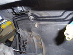P4120017.JPG