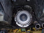 P4130003.JPG