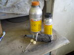 P4150002.JPG