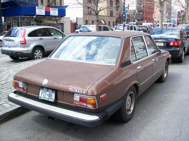 100_1109 (Large).JPG