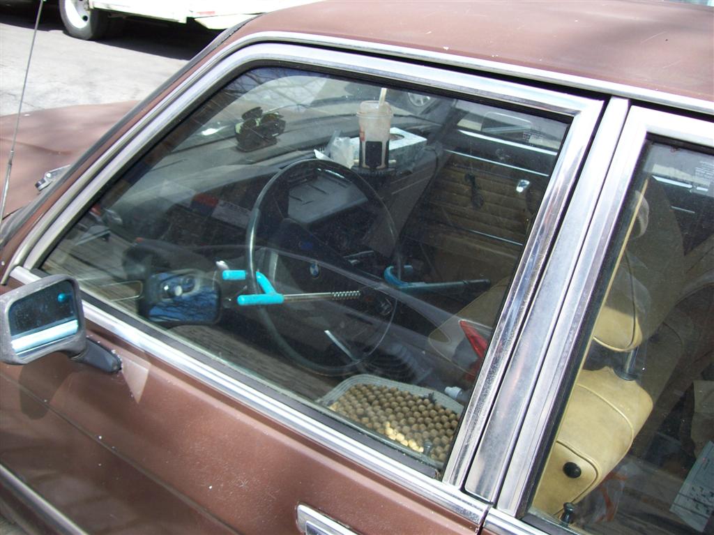 100_1111 (Large).JPG