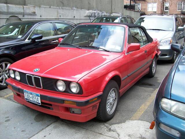 100_1129 (Large).JPG