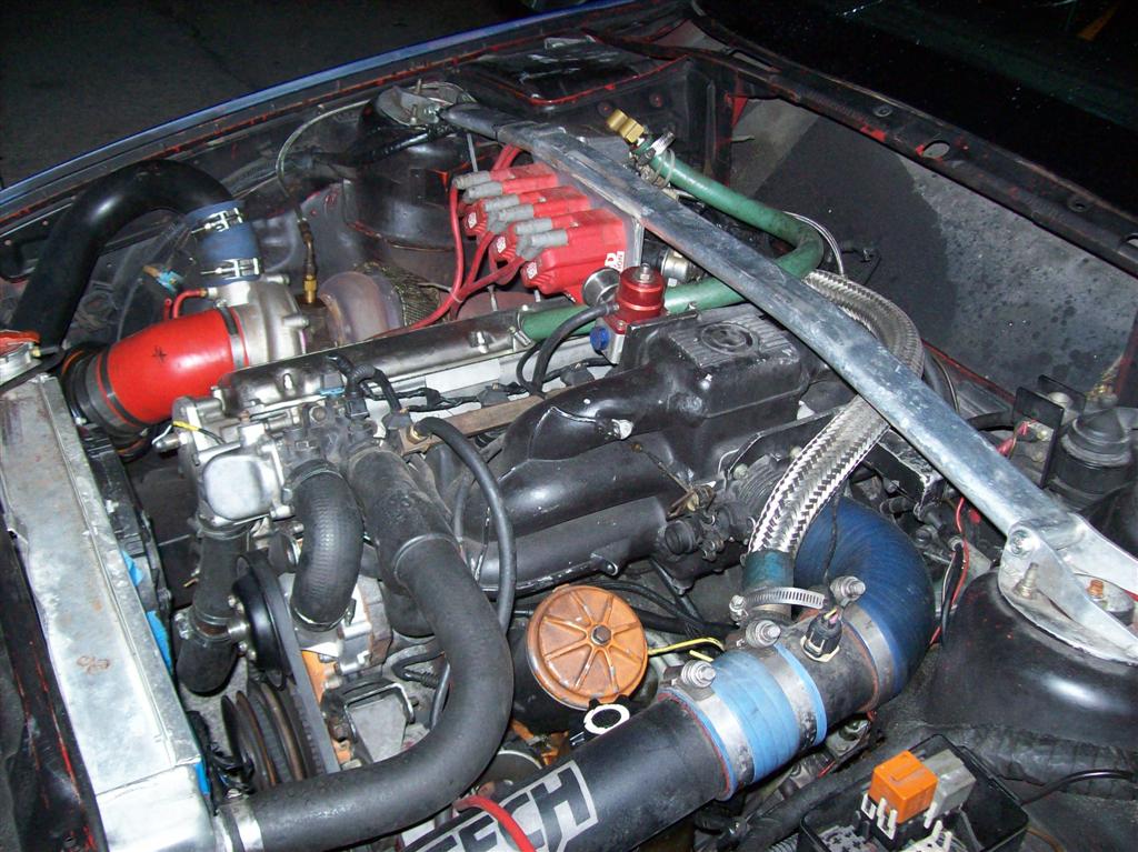 100_1148 (Large).JPG