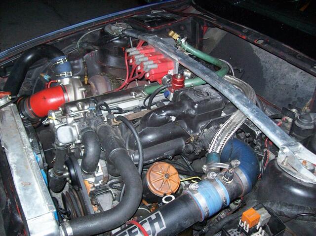 100_1148 (Large).JPG