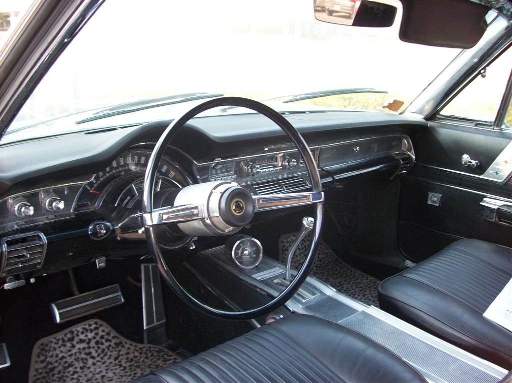 100_1198 (Large).JPG
